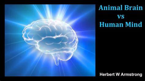 Animal Brain Vs Human Mind By Herbert W Armstrong Youtube