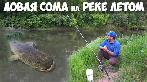 ПОЙМАЛИ СОМА под ЗАВАЛАМИ МОСТА!!! Рыбалка на СОМА с берега. Снасть для ...