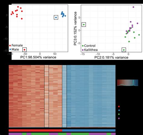 Figure S5 Principal Components Analysis Of Read Counts Per Gene In