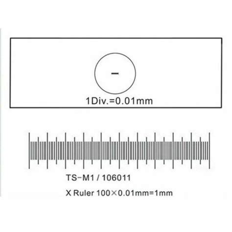 DIV 0 01mm Micrometer Calibration Slide Microscope Stage Micrometer