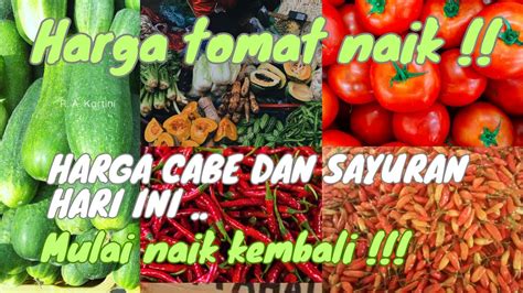 Harga Cabe Hari Ini Mulai Naik Kembali Dan Harga Sayuran Juga Ikutan