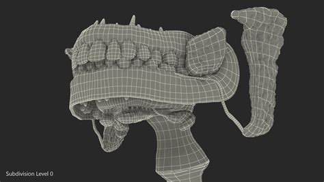 Human Digestive System Anatomy 3D Model $79 - .3ds .blend .c4d .fbx .ma .obj .max - Free3D