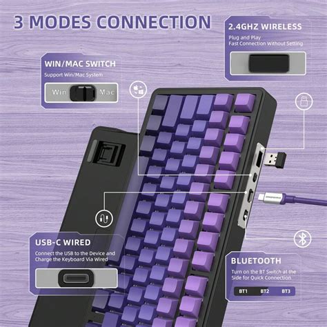 FREEWOLF Teclado mecânico SHARK X85 Hot Swap teclado para jogos RGB TKL 75 sem fio 2 4