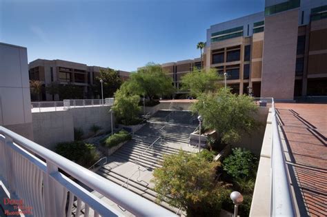 University Of Arizona Library University Of Arizona Arizona