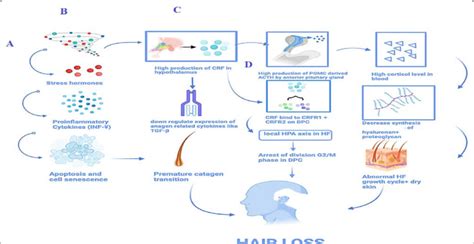 Nanodrug Delivery Strategies To Signaling Pathways In 45 OFF