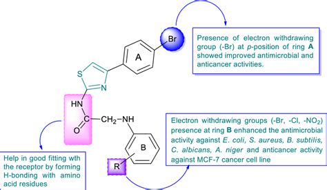 Structural Activity Relationship Study Of Synthesized Derivatives