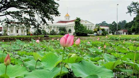 Kebun Raya Bogor Sejarah, Spot Foto, Hingga Harga Tiket Masuk