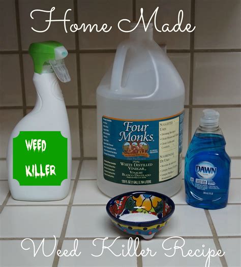Earth Friendly Homemade Weed Killer Recipes Solutions Artofit