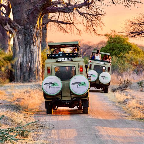 Best Time To Visit Tanzania Fahamu Safaris