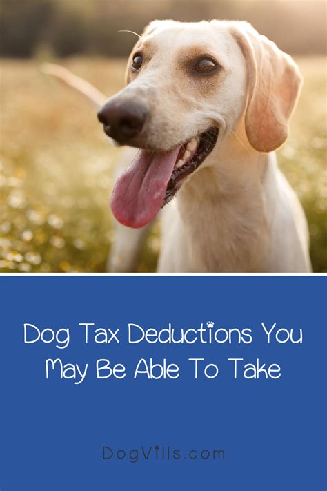 5 Dog Tax Deductions You Might Qualify For Tax Deductions Dogs Dog