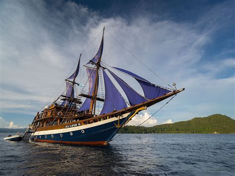 Sea Safari Cruises Denpasar All You Need To Know Before You Go