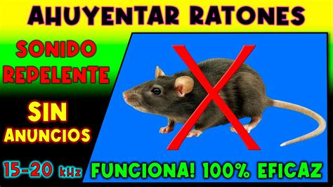 Sonido Para Ahuyentar Ratones Repelente De Ratones Youtube