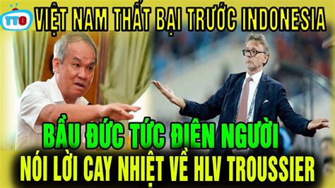 N Ng Vi T Nam Thua Au Indonesia Khi N B U C N I Gi N L I Nh N I