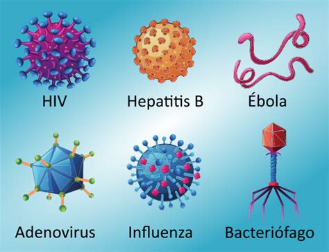 ¿qué Es Un Virus Definición Y Características Aprendí Hoy