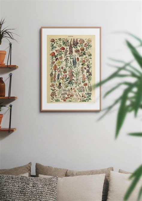 Vintage Poster Bloemen Les Fleurs Planten Bloem Natuur