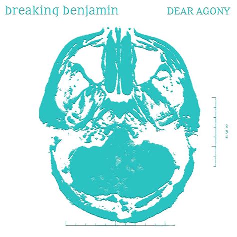 dear agony breaking benjamin