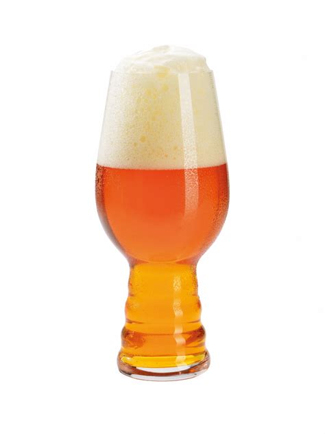 IPA Beer Kit (Fermenter, Malt, Hops, Yeast) - Arishtam India