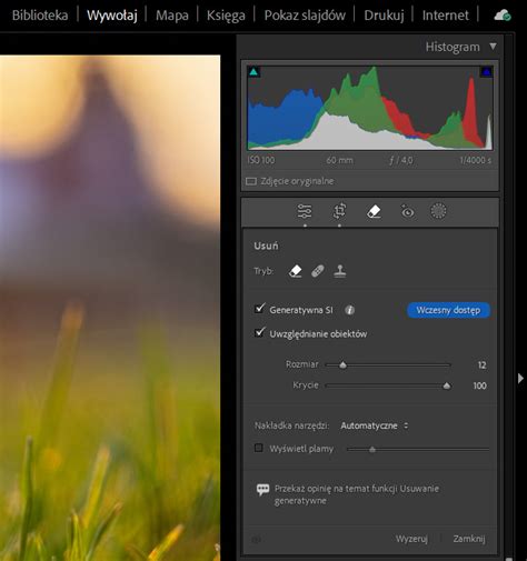 Jeszcze Prostsze Usuwanie Niechcianych Obiekt W W Adobe Lightroom Classic