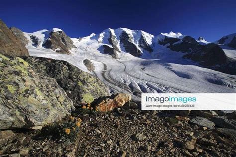 Aussicht Von Der Diavolezza Piz Palue Bellavista Piz Bernina Pers