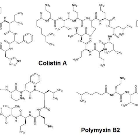 Chemical Structures Of Polypeptide Antibiotics Download Scientific