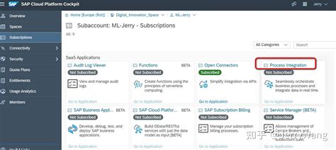 Sap 云平台 Cloud Platform 架构概述 知乎