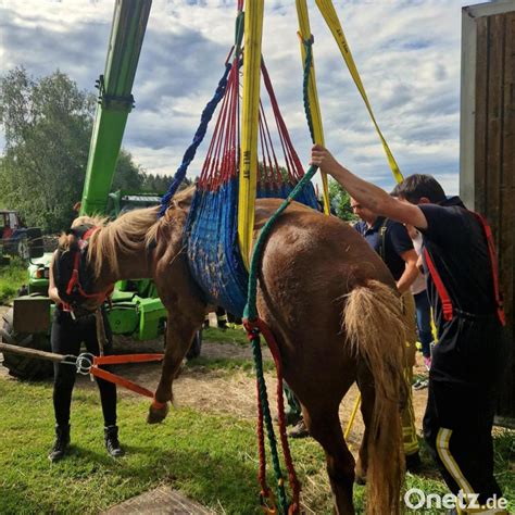 Feuerwehr Rettet Pferd Aus Einem Schacht Onetz