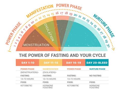 Fasting Benefits Chart Dr Mindy Pelz | Hot Sex Picture