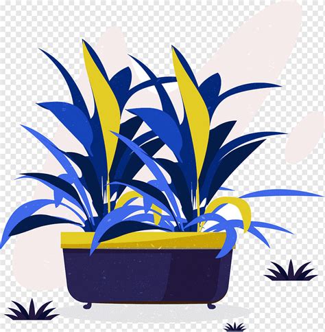 Planta En Maceta Png Pngwing