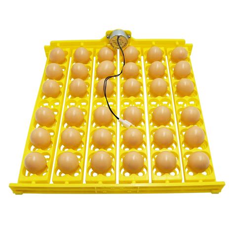 Buy Doans Egg Incubator Fully Automatic Digital Egg Incubators Chicken