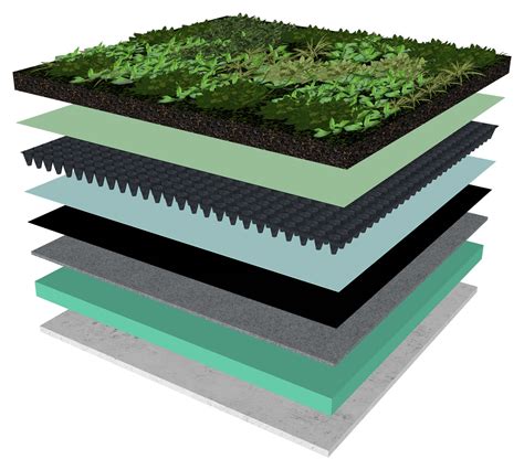 Converde Green Roofs