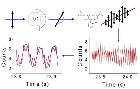 Polarization Modulation Studies | Carey Johnson Research Group