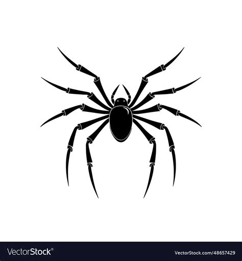 Hand Drawn Spider Doodle Icon On White Background Vector Image