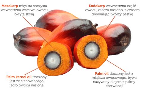 Czy Olej Palmowy Jest Szkodliwy Diabe Tkwi W Szczeg Ach Blog