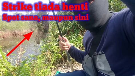 Petualangan Mancing Spot Rawa Penuh Tantangan Part Ii Seru Youtube