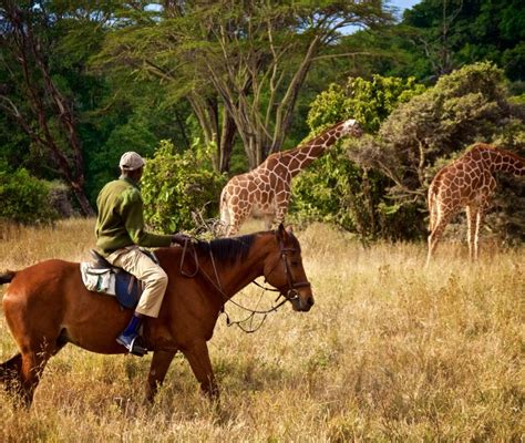 Los Mejores Safaris Tourradar