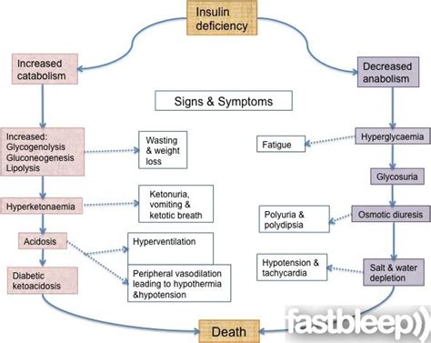 Diabetic Ketoacidosis Endocrinology Diabetic Ketoacidosis Diabetes