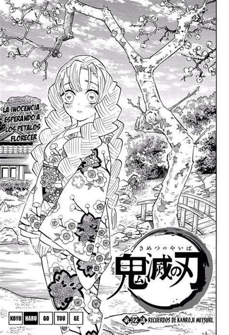 Kimetsu no yaiba Manga Español Recuerdos de Mitsuri 123 Artesanías