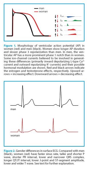 Gender Differences In The 12 Lead Electrocardiogram Clinical