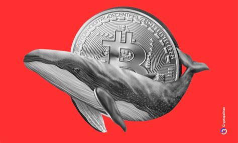 Decade Old Bitcoin Whale Transfers K To Kraken