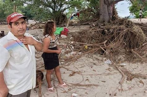 Regresa matrimonio al árbol que les salvó la vida durantew la tormenta