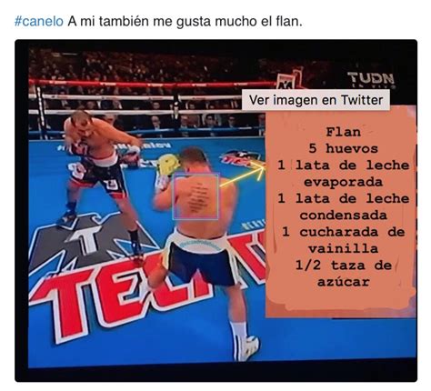 Meme De Canelo Alvarez Memestund