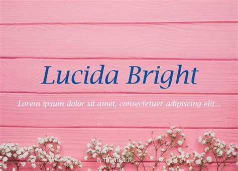 lucida bright italic truetype font