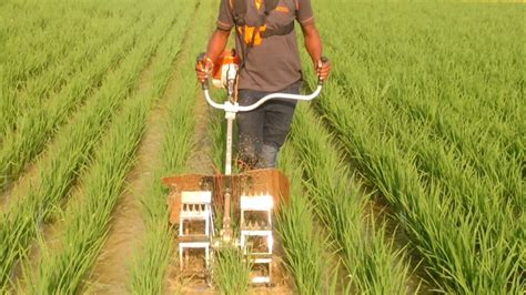 Stihl Ka Paddy Weeder In Panvel Navi Mumbai Vedant