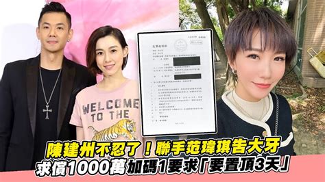 陳建州不忍了！聯手范瑋琪告大牙 求償1000萬加碼1要求「要置頂3天」 Youtube