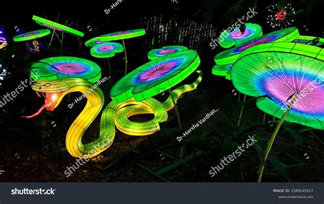 Houston Zoo Lights Magic Night Christmas Stock Photo 2389145517 ...