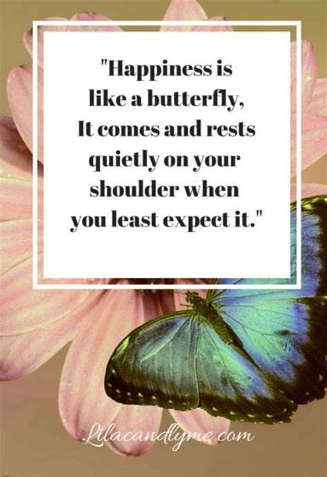 Meaningful Quotes About Butterflies Aden