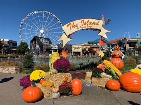 Things To Do In November In Pigeon Forge And Gatlinburg