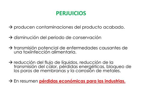 PPT IMPACTO DE LOS BIOFILMS EN LA INDUSTRIA ALIMENTARIA PowerPoint