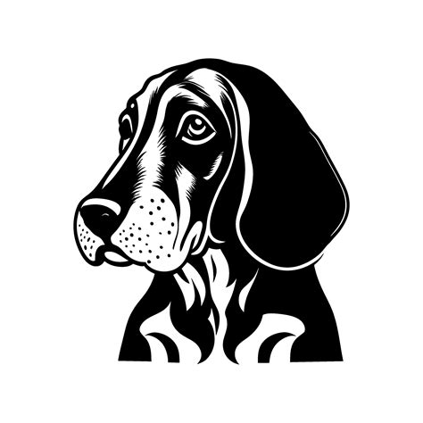 Cute Black Ink Bloodhound Dog Portrait 25941036 Vector Art At Vecteezy