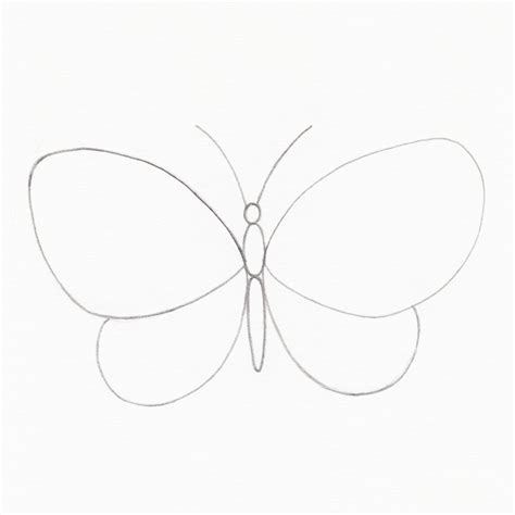 Simple Butterfly Drawing Sale Hayatiaygun